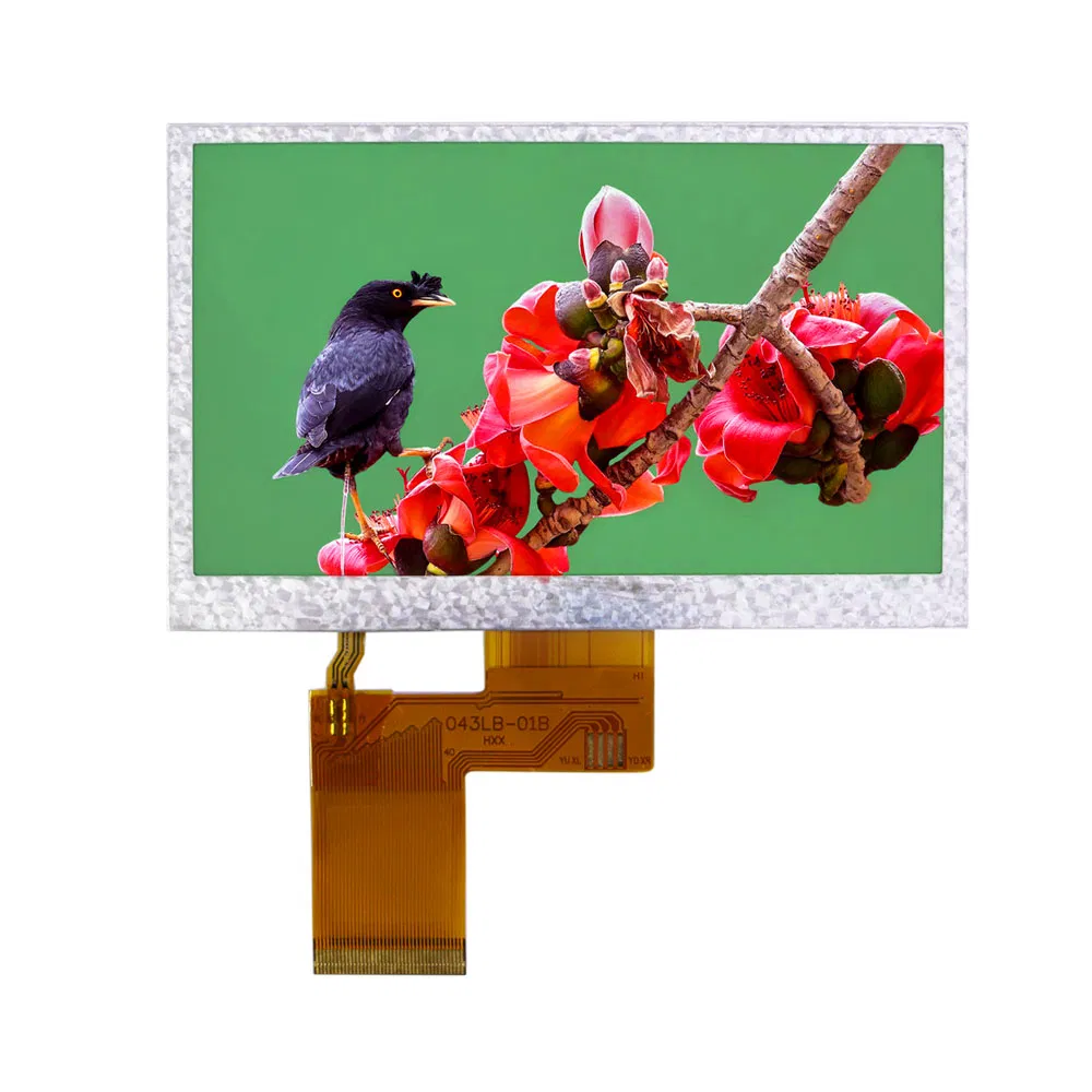 4.3 Inch TFT LCD Display 480×272 (Rear-View Class)